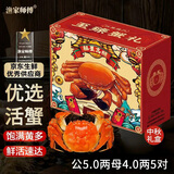 【活蟹】漁家师傅优选大闸蟹公5-5.3两母4-4.3两5对10只 螃蟹鲜活生鲜现货水产海鲜礼盒