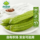 小汤山 苦瓜 400g 基地直供新鲜蔬菜安全可追溯