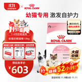皇家幼猫奶糕 幼猫猫粮 BK34 通用粮 1-4月 10KG