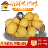 uncle lemon四川特产安岳新鲜黄柠檬当季水果皮薄奶茶店切片榨汁泡茶三级果 5斤三级果家庭装