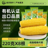 金沃瑞丰【25年头茬】有机黄糯玉米棒 220g*8袋 新鲜甜粘黏早餐