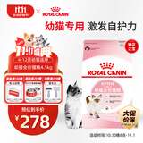 皇家幼猫猫粮 幼猫奶糕 K36 通用粮 4-12月 4.5KG
