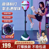 创步（CHUANGBU）拳击训练器速度球家用成人儿童立式沙袋击打回弹躲闪球解压反应靶 【红白-加强款】12吸盘/防爆球体