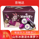 京地达山东冰激凌萝卜礼盒装净重4.5斤单果400g+ 新鲜蔬菜源头直发包邮