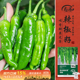 寿禾 樟树港辣椒种子种苗湖南二荆条蔬菜籽 寿禾樟树港辣椒种子60粒