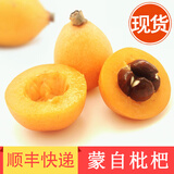 绿养道【顺丰快递】云南蒙自枇杷新鲜枇杷果 新鲜水果 净重 礼盒装4斤