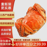 【活蟹】（网兜蟹）泰州兴化大闸蟹生鲜活螃蟹海鲜水产足斤足两 公母混搭3斤装（约15-22只) 保底5只母蟹