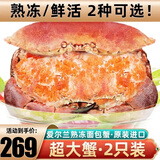 鲜味时刻 超大面包蟹鲜活熟冻原装进口大螃蟹特大海鲜水产 熟冻2400-2800g/2只（天花板）