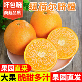 甜果源 纽荷尔脐橙 甜橙子手剥高山薄皮冰糖甜橙子脐橙子当季新鲜水果 净重4.8-5斤 单果65-70mm【80%人选择】