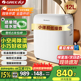 格力（GREE）【低噪小体积】除湿机/抽湿机家用除湿量12升/天单间参考面积24平24H定时除湿器DH12EN