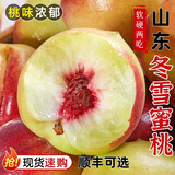 新鲜冬桃蜜桃青桃脆甜多汁山东冬雪5斤毛桃硬桃青州蜜桃水果整箱 实惠装-5斤(单果60g+)