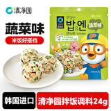 清净园 韩国进口 拌饭调料寿 司饭团拌饭料调味料 拌饭调料（蔬菜）24g