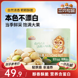 三只松鼠开心果500g/袋装 坚果炒货无漂白干果休闲零食品送礼