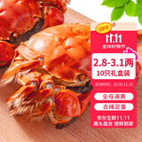 【活蟹】乾澄大闸蟹现货 全母蟹2.8-3.1两 10只 去绳足重鲜活螃蟹河蟹海鲜礼盒源头直发