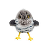 petgravity宠有引力扑腾小肥啾猫咪自嗨解闷玩具仿真小鸟自动逗猫棒消耗体力 布谷鸟