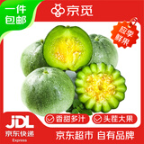 京觅 东北绿宝石甜瓜蜜瓜 约2.7斤净重单果180g+ 生鲜水果源头直发