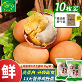 龙凤活珠活珠子50g*10枚 五香味 毛蛋13天新鲜营养鸡胚蛋 开袋即食熟食