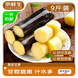 京鲜生 广西黑皮甘蔗 净重9斤装 脆甜多汁 生鲜水果 源头直发包邮