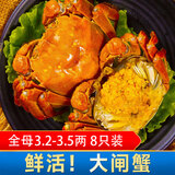 【活蟹】湖塘煙雨 大闸蟹鲜活螃蟹生鲜礼盒现货河湖海鲜全母蟹3.2-3.5两8只源头直发