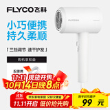 飞科 FLYCO 电吹风机宿舍用 柔风负离子恒温护发 家用冷热大风量快速干发吹风筒FH6290 1800W