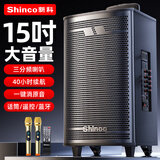 新科 （Shinco）T30广场舞音响户外大音量拉杆蓝牙音箱三喇叭重低音木质箱体家用K歌移动摆摊 15吋双咪