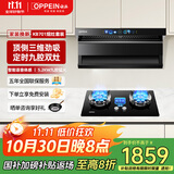 欧派（OPPEIN）【国家补贴20%】家用抽油烟机烟灶套装三件套顶侧双吸变频烟灶套装烟机灶具二件套油烟机灶具套装 【9腔定时两件套】智能控制语音+定时双灶-液化气