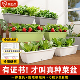 原起点阳台种菜盆(60cm)自吸水加厚耐晒大花盆长方形蔬菜种菜箱懒人神器 【豪享优惠】580mm牛津灰10个装