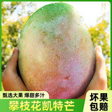 庾丰新鲜大青芒果当季新鲜现摘孕妇水果 热带整箱应季大青皮芒果 5斤装-净重4.5斤  单果150g+
