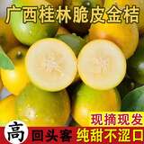 味小仙广西桂林脆皮金桔 滑皮小金桔阳朔特产黄青皮甜金橘新鲜水果 5斤（中果）【1斤30-35颗】