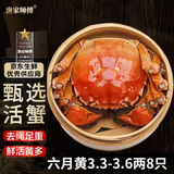 【活蟹】漁家师傅大闸蟹六月黄3.3-3.6两8只去绳足重鲜活螃蟹现货生鲜礼盒 源头直发