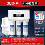 蓝珍珠云之星系列A1家用厨房RO反渗透净水器直饮水机自来水过滤器双出水净水机五级过滤带桶微废水纯水机 A1-B微废水标准款 100G微废水标配款性价比首选