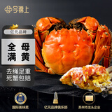 【活蟹】今锦上大闸蟹鲜活螃蟹礼盒全母2.3-2.6两8只装精品礼盒礼品 去绳足重