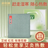 俞兆林艾灸艾草热敷包电加热坐垫办公室热敷袋理疗袋坐垫加热垫电热垫