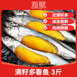 海赋国产 满籽多春鱼净重3斤 大号满籽 烧烤煎炸食材-源头直发