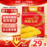 十月稻田 黄糯玉米 3.52斤(220g*8根) 东北粘苞米 早餐零食 蛇年限定