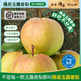 隰县玉露香梨 【顺丰现货】整箱香梨当季水果山西隰县小西天特产 孕妇水果送礼 9粒大果（净重5-6斤）单果80+mm