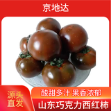 京地达山东巧克力番茄  净重4.5斤装 大黑西红柿酸甜沙瓤 源头直发
