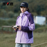 雅鹿三合一冲锋衣女男防风短外套加绒加厚可拆内胆风衣保暖滑雪登山服 YLN11Z36820紫色/深紫-女 L