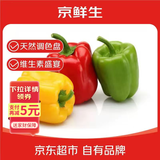 京鲜生 山东三色彩椒 圆椒甜椒新鲜蔬菜 净重3斤单果120g起源头直发包邮