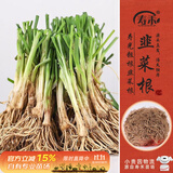 寿禾 韭菜根苗老品种农家种蔬菜苗 四季韭菜根190棵带肥源头直发包邮