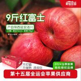 青怡陕西特产洛川红富士时令苹果新鲜水果礼盒 源头产地包邮直发 9斤【中大果】160g+