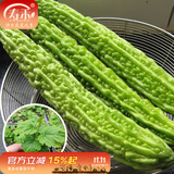 寿禾 蔬菜苗活苗带土发货大全菜苗种苗秋冬各种秧苗山东寿光苗子阳台 长苦瓜苗 5棵