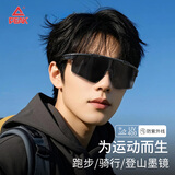 匹克（PEAK）骑行眼镜登山护目镜防风墨镜徒步爬山户外运动滑雪镜 黑框变色片