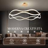 费斯（FEISS） 客厅吊灯现代简约卧室房间轻奢餐厅吊灯饰环形艺术房间灯具套餐 【金色】直径60CM三色