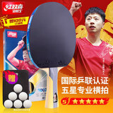红双喜DHS狂飚五星乒乓球拍横拍双面反胶5层强攻H5002