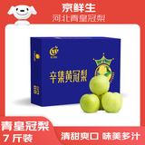 京鲜生 河北青皮皇冠梨 净重7斤单果300g+臻品水果礼盒生鲜水果源头直发