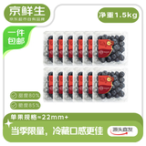京鲜生 当季云南蓝莓 12盒超大果22mm+ 125g/盒 生鲜水果 源头直发 包邮