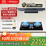欧派（OPPEIN）【国家补贴20%】家用抽油烟机烟灶套装三件套顶侧双吸变频烟灶套装烟机灶具二件套油烟机灶具套装 【九腔定时两件套】9档变频-天然气