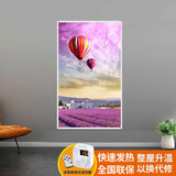 欣艾迪 石墨烯碳晶墙暖壁画家用碳纤维电暖器电热板节能省电取暖器壁挂式电暖气片 600w-03