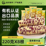 金沃瑞丰 彩糯花玉米棒8根 3.5斤 新鲜甜粘 非转基因粗粮早餐